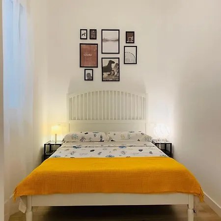 Saint Ferdinand * 阿利坎特